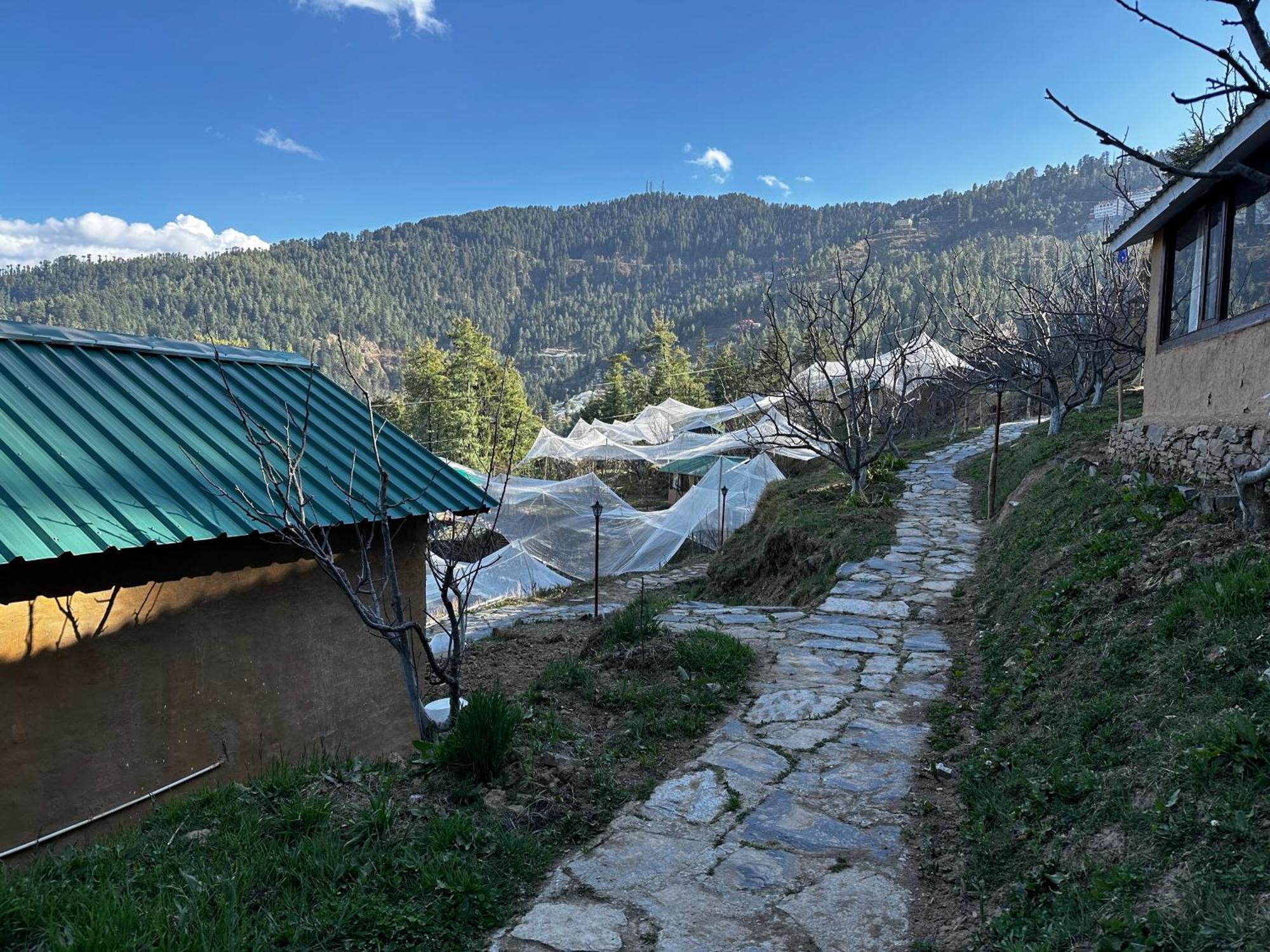 Daak Bangla Retreat Hotel Kufri Exterior photo